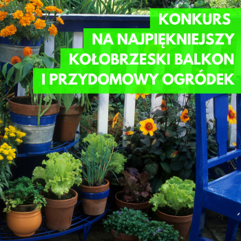 Konkurs na najpiękniejszy kołobrzeski balkon i przydomowy ogródek